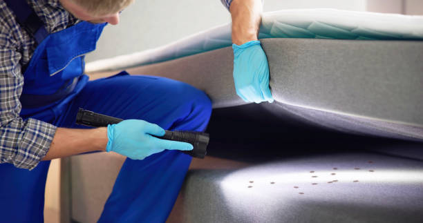 Best Affordable Pest Control Services  in Shady Shores, TX