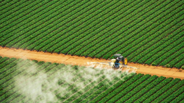 Best Commercial Pest Control Services  in Shady Shores, TX